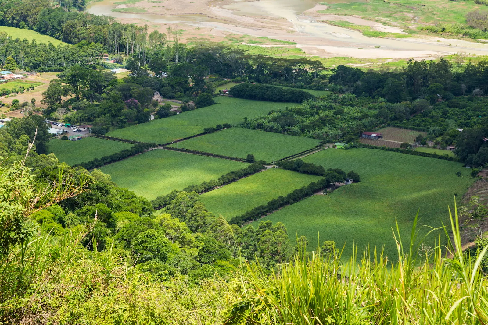 Aerial view of lush green Brisbane farmland and gardens