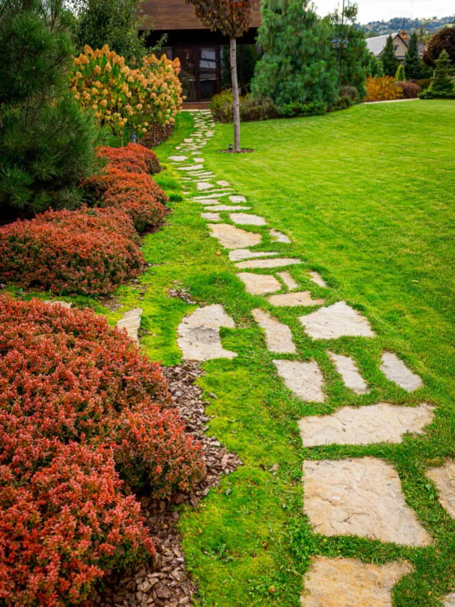 Landscaped stone garden path winding through a lush green lawn