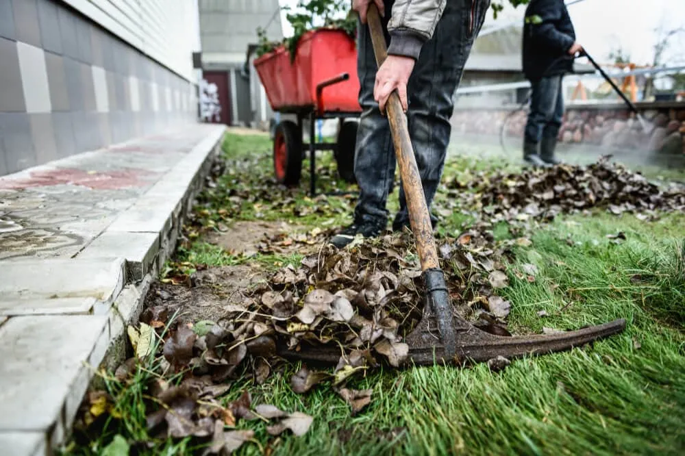 An overgrown yard being cleared and tidied