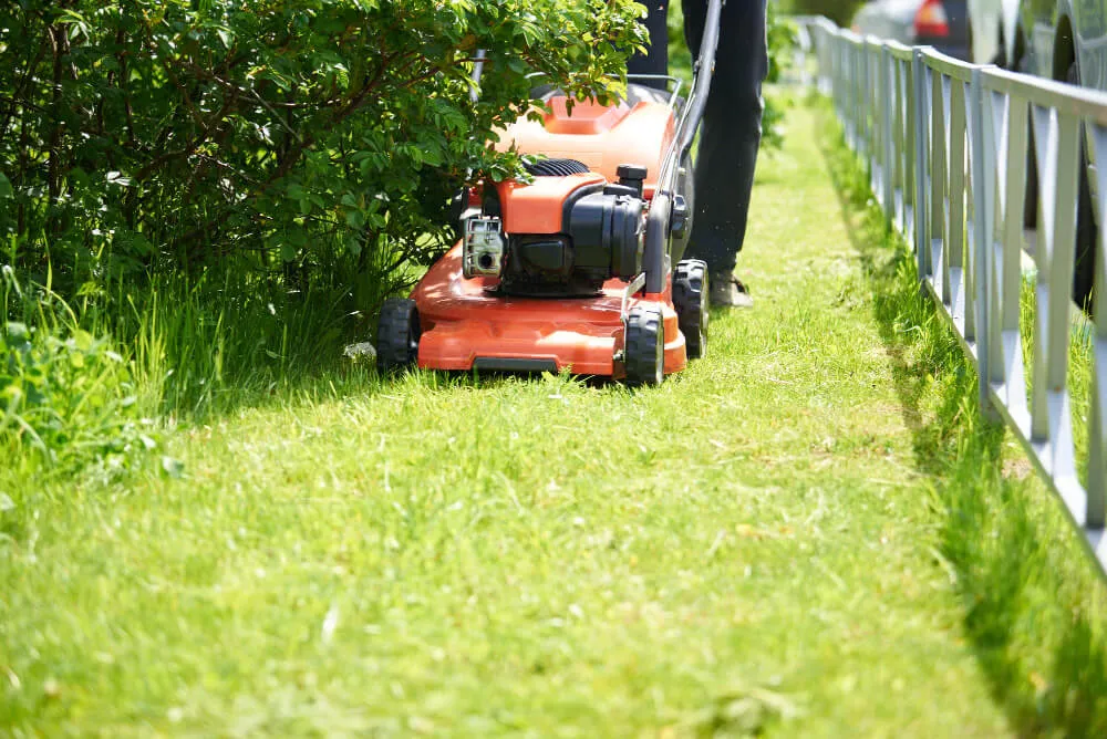 Weed control treatment being applied to a lawn