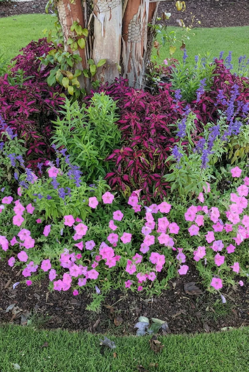 garden maintenance Brisbane QLD