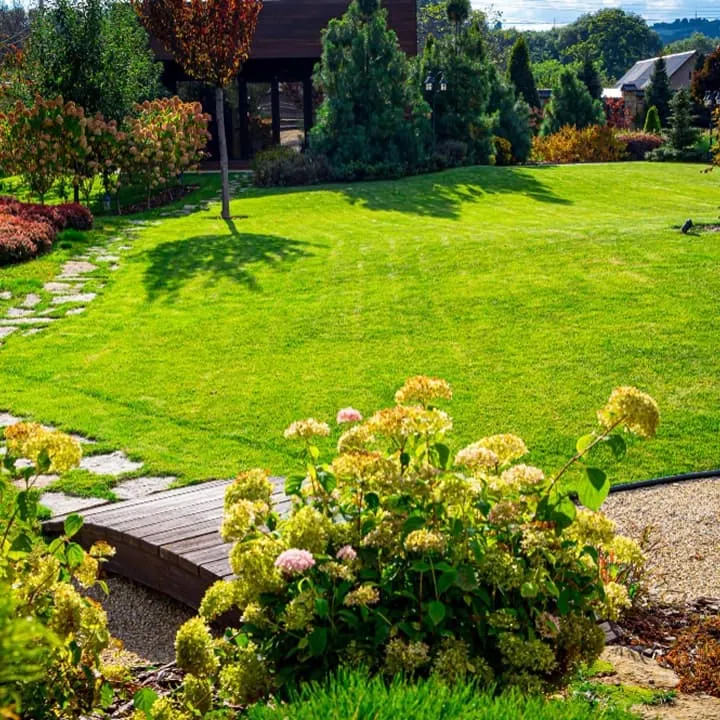 fortnightly lawn mowing maintenance plan Brisbane
